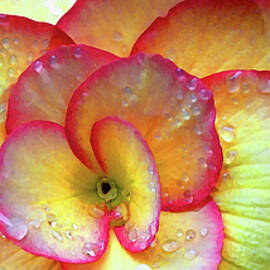 FLORAL PANORAMA by Randall Dill