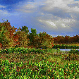 Florida Wetlands 1