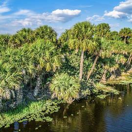 Florida Wild  by Veterans Aerial Media LLC