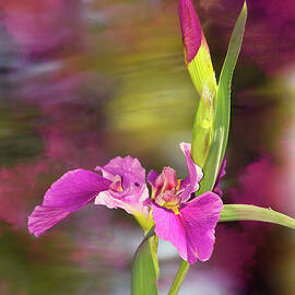 Flower 19B by Sally Fuller