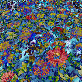 Flower Bed meets sky by Bruce Block