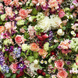 Flower bouquet background by Jelena Jovanovic