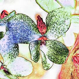 Flower garden after a spring rain by Bruce Block