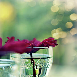 Flowers in Vintage Coke Glasses by Laura Fasulo