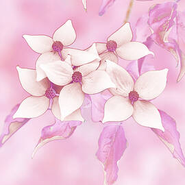 Flowers on dogwood tree by Bruce Block