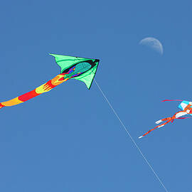 Flying to the Moon by Barbara Siegel