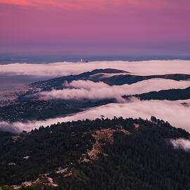 Fog Fingers by Louis Raphael