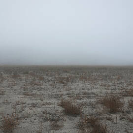 Foggy Landscape by Alison Frank