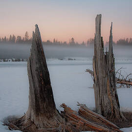 Foggy Morn by Mike Lee