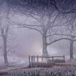 Foggy point of view by Chris Boulton