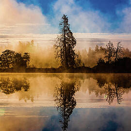 Foggy Sunrise Lake Ballinger Edmonds Washington by Tommy Farnsworth