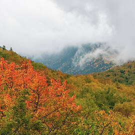 Foliage, Mountains, and Clouds #2019 by Dan Beauvais