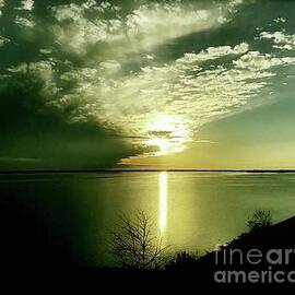 Follow Me by Catherine Wilson