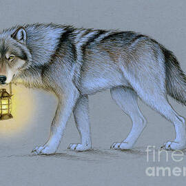 Follow Me - Wolf and Lantern by Rebecca Wang