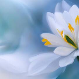 For Easter by Ursula Abresch