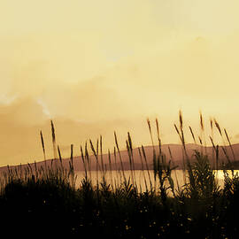 Foreign Shore by Gina Harrison
