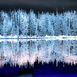 Forest Lake Reflection by Bruce Block