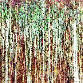  Forest of Trees