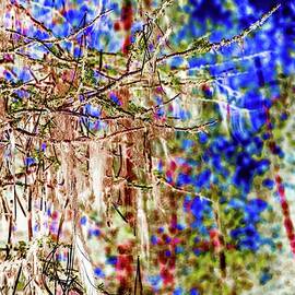 Forest tree with lichen by Bruce Block