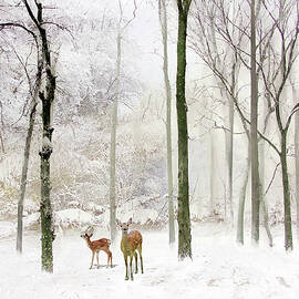 Forest Winter Visitors by Jessica Jenney