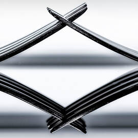 Forks Reflections II by Susan Candelario