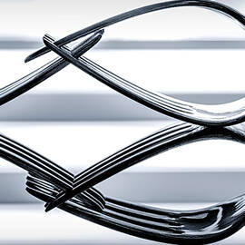 Forks Reflections by Susan Candelario