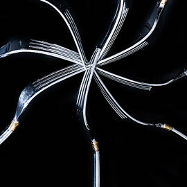 Forks Shapes by Susan Candelario