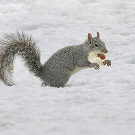 Found My Precious by Mike Lee