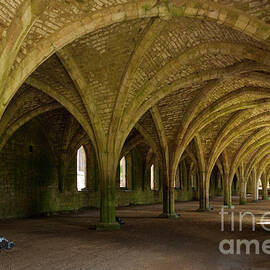 Fountains Abbey vaulted cellarium, Yorkshire, England by Neale And Judith Clark