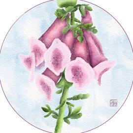 Foxglove by Snow Iris Studio