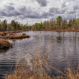 Franklin Parker Preserve by Louis Dallara