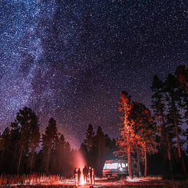 Freedom to Dream by Shannon Williams