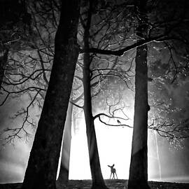 FRIENDSHIP II by Sofie Conte