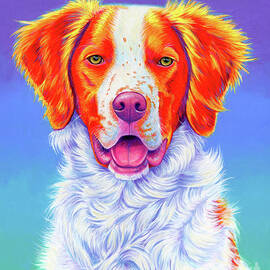 Frisco the Brittany Spaniel Dog by Rebecca Wang