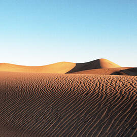 From Dune to Dune by Joe Schofield