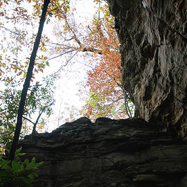 from the bottom of the gulch #2 by Flees Photos