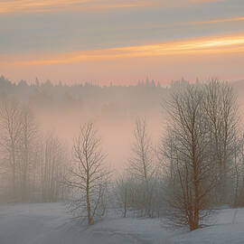 Frosty Dawn by Mike Lee