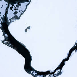 Frozen Delta by Matt Halvorson