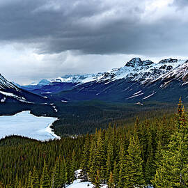 Frozen Peyto Lake Alberta Canada by Tommy Farnsworth