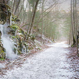 Frozen Trail by Dave King
