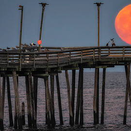 Full Beaver Moon VA by Susan Candelario