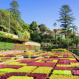 Funchal Madeira Botanical gardens by Neale And Judith Clark