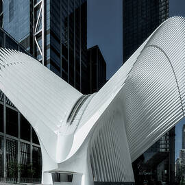 Futuristic Architectural Landmark by Susan Candelario