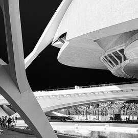 Futuristic architecture at the City of the Sciences and the Arts, Valencia by Francisco Ruiz Navas