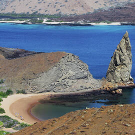 Galapagos Scene 1A by Sally Fuller