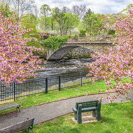 Garden on The Bridge  by Veterans Aerial Media LLC