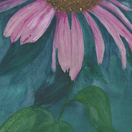 Echinacea, Garden Shadows from Purple Coneflower by Elizabeth Reich