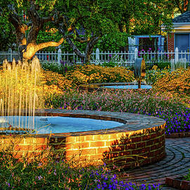 Garden Sunlight by Jeff Sinon