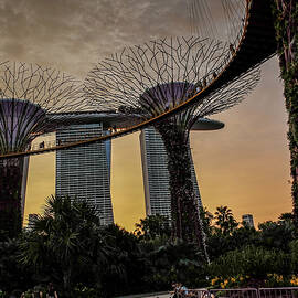 Gardens by the Bay