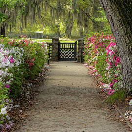 Gateway with Spring Flowers by Cindy Robinson